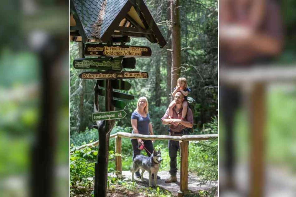 Die Beschilderung der Wanderwege wurde im Erzgebirge auf Vordermann gebracht und ist dem Ansturm gewachsen.