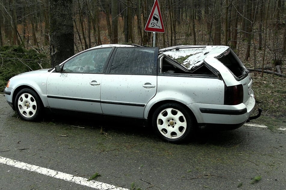 Hier hatte ein Fahrer gleich mehrere Schutzengel: Der Baum fiel auf sein Auto, nur nicht auf die Fahrerseite.