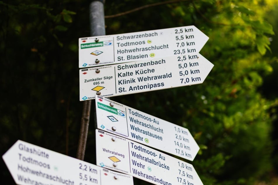 Die junge Wanderin war im Spätsommer 2020 im Schwarzwald verschwunden.