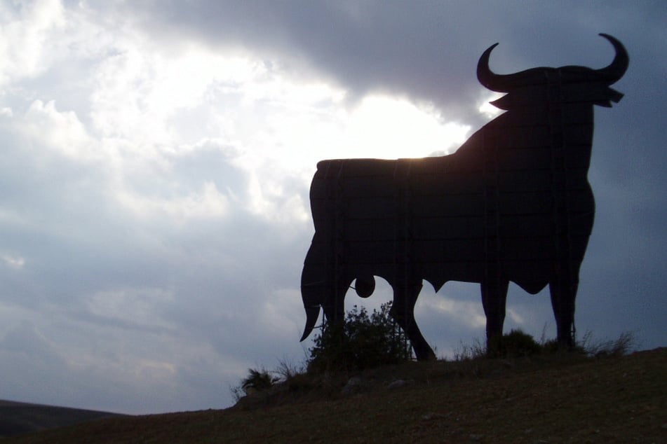 Stierkauf geht schief: 900-Kilo-Bulle rastet aus und verletzt Mann schwer
