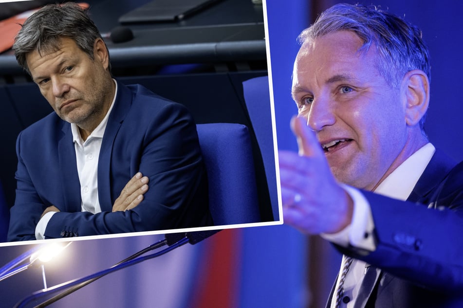 Vize-Kanzler Habeck verwendet NS-Vokabular: Thüringens AfD-Chef Björn Höcke stellt Anzeige-Frage!