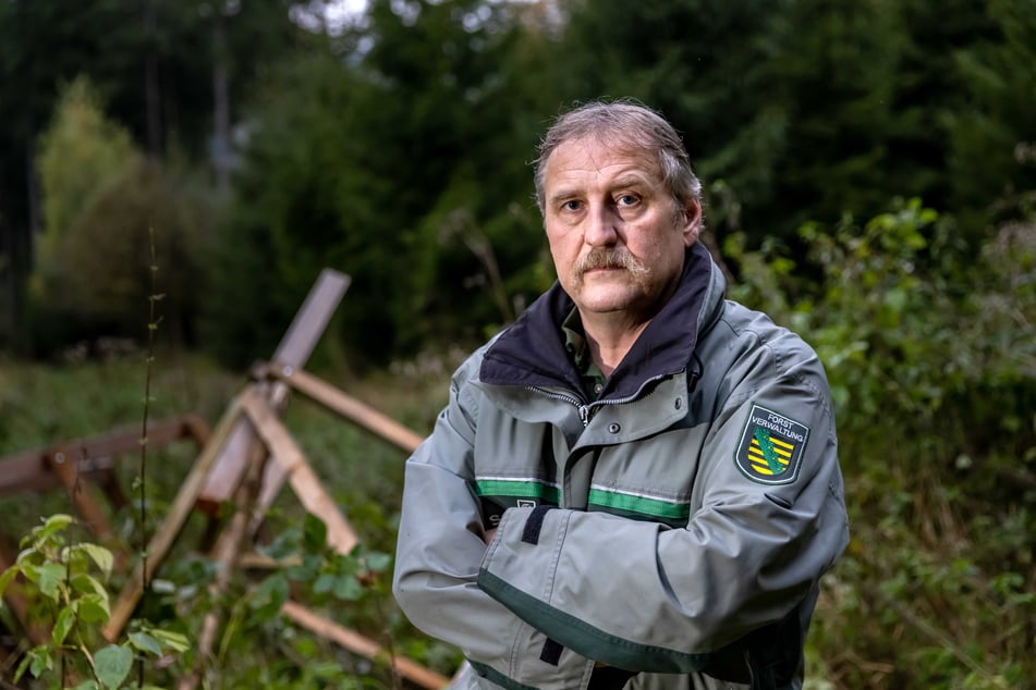 Revierleiter Carsten Lohr (50) vor einem angesägten Hochsitz in Cranzahl. Waldarbeiter haben den Bau jetzt auf die Seite gelegt.