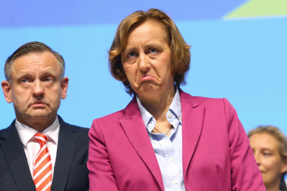 Klimakrise? Davon will Beatrix von Storch bekanntermaßen nichts wissen.