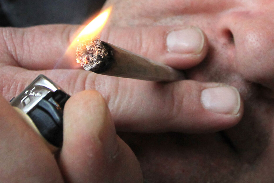 Die Polizisten mussten nur ihrer Nase folgen, schon entdeckten sie die Cannabis-Zucht. (Symbolbild)