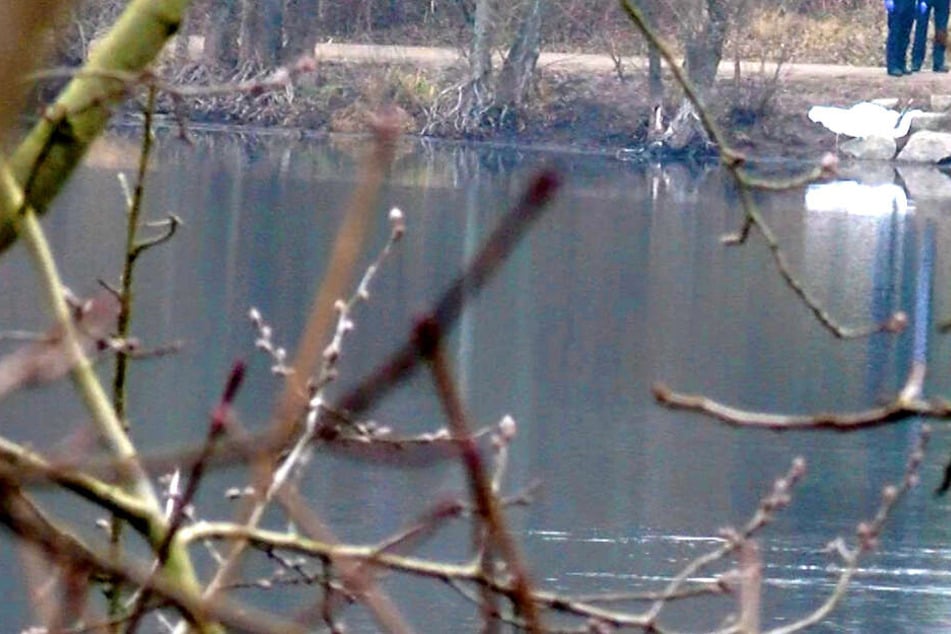 Im Schwielochsee bei Cottbus wurde die Leiche eines Mannes gefunden (Symbolbild).