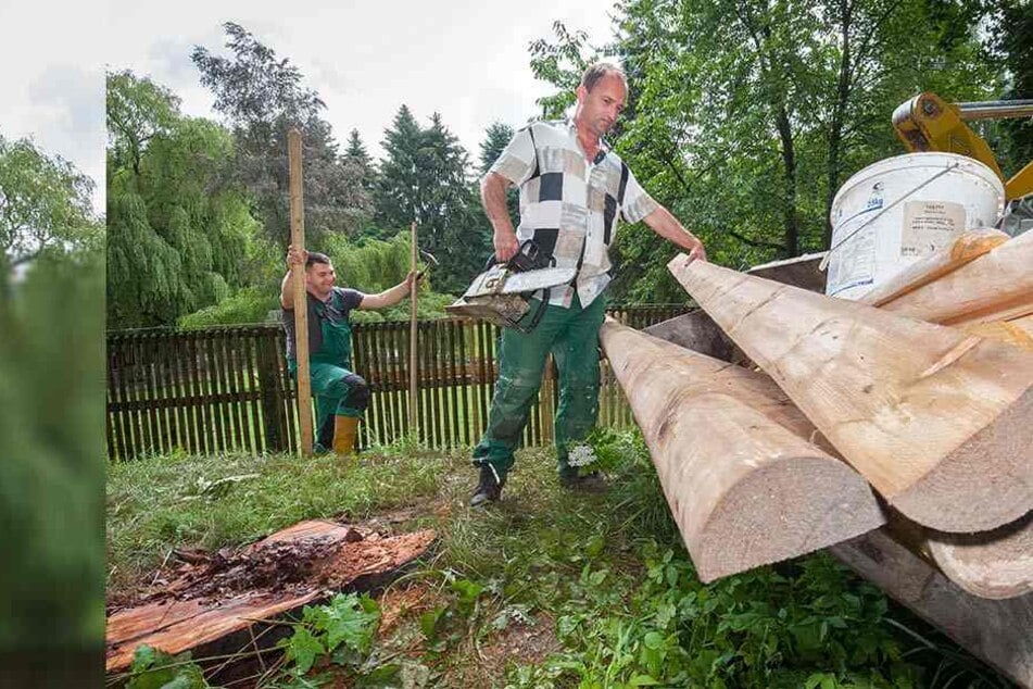 Die Aufräumarbeiten nach den schweren Unwetterschäden im Tierpark Hirschfeld dauerten bis gestern noch an.