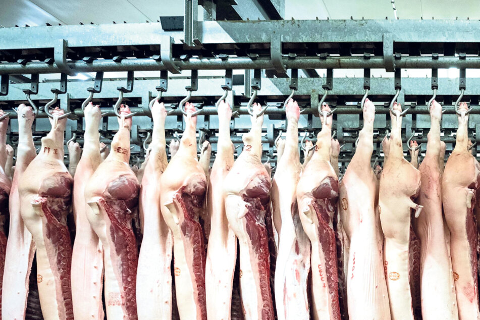 Wie von der Stange: Vor der Corona-Krise hingen auch in Weißenfels Schweinehälften dicht an dicht (Symbolfoto).