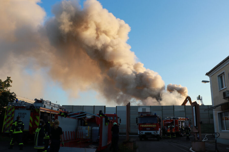Mehr als 100 Feuerwehrleute waren im Einsatz.