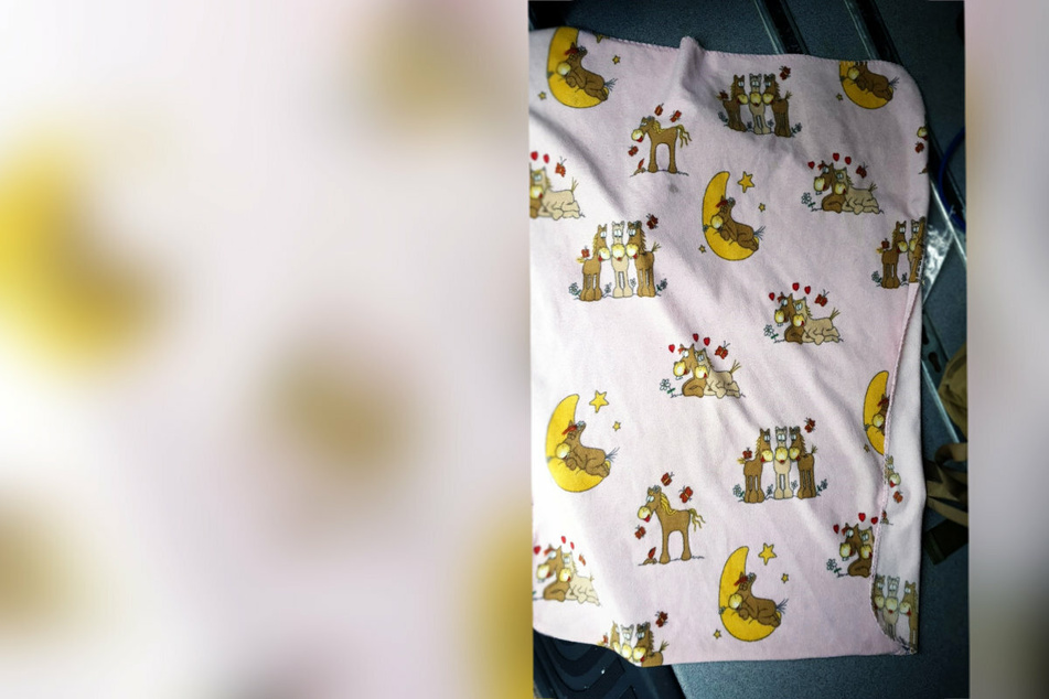 Eine Kinderdecke mit Pferdemotiven wurde sichergestellt.