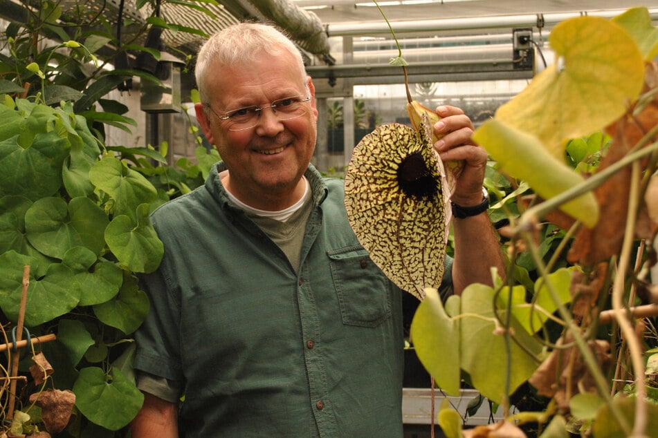 Eine besondere Ehre wurde Christoph Neinhuis, Professor für Botanik an der TU Dresden und Direktor des Botanischen Gartens, zuteil.