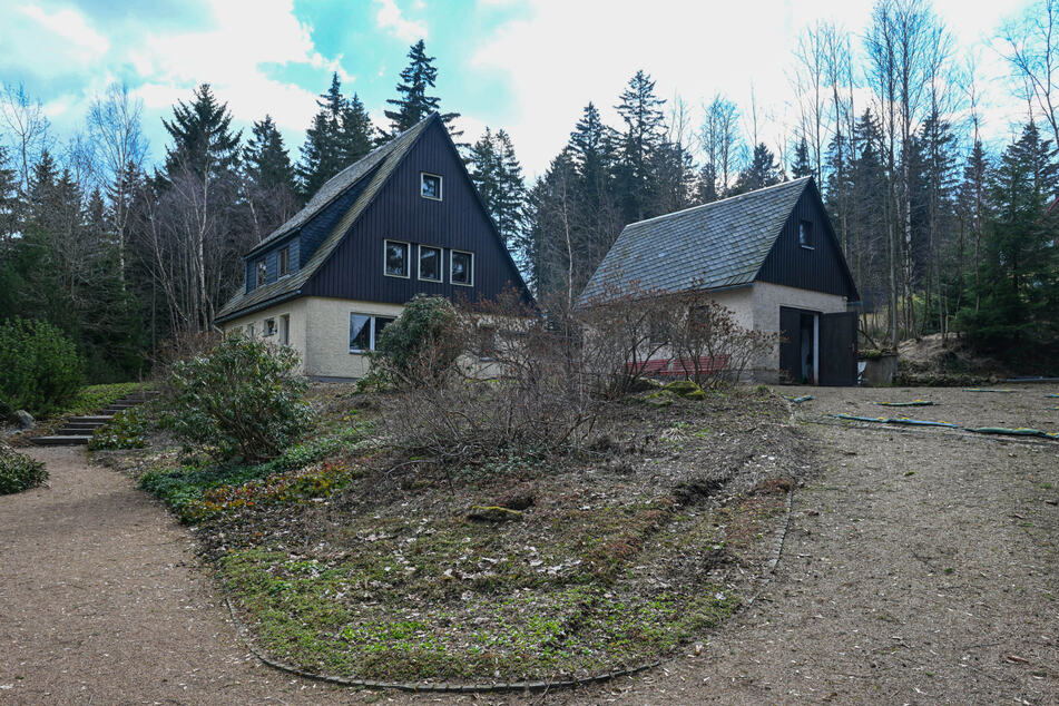 Der Botanische Garten Schellerhau öffnet ab 1. Mai wieder seine Pforten.