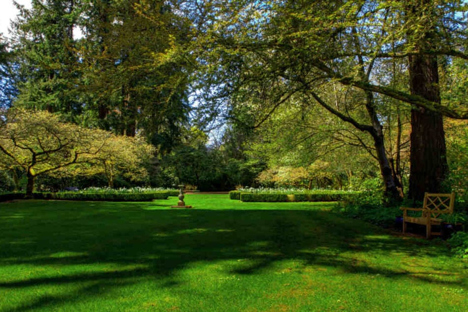 Urnenbestattung eigenen garten