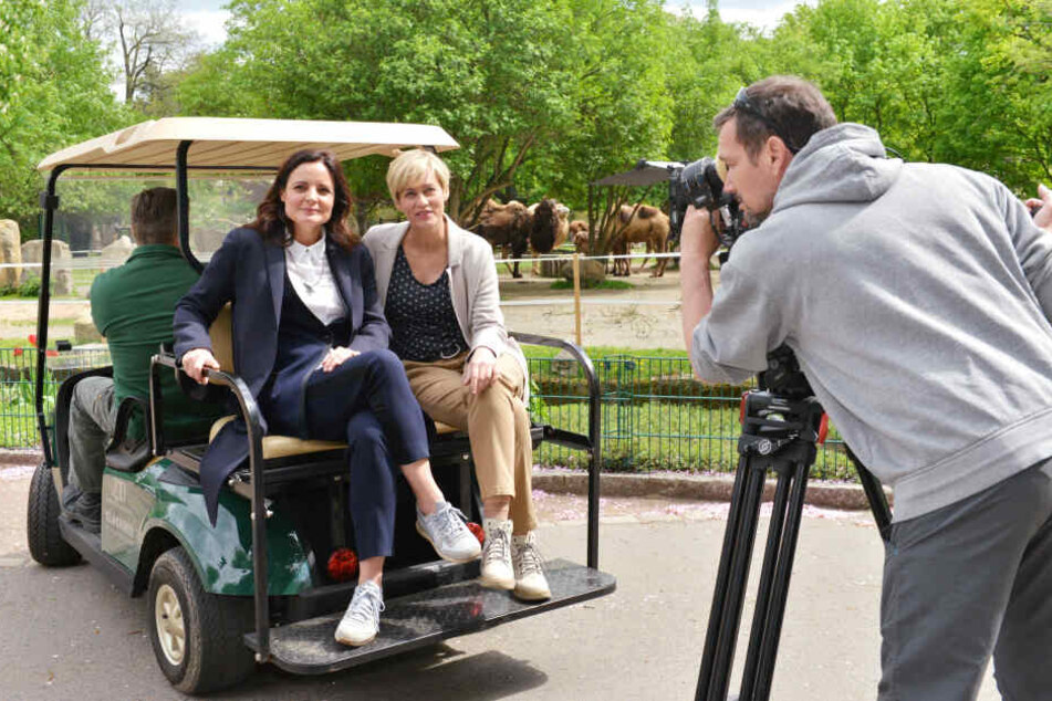Mit Statisten im Hintergrund: Gesine Cukrowski (50) und Elisabeth Lanz (47) beim Dreh einer Folge von "Tierärztin Dr. Mertens".