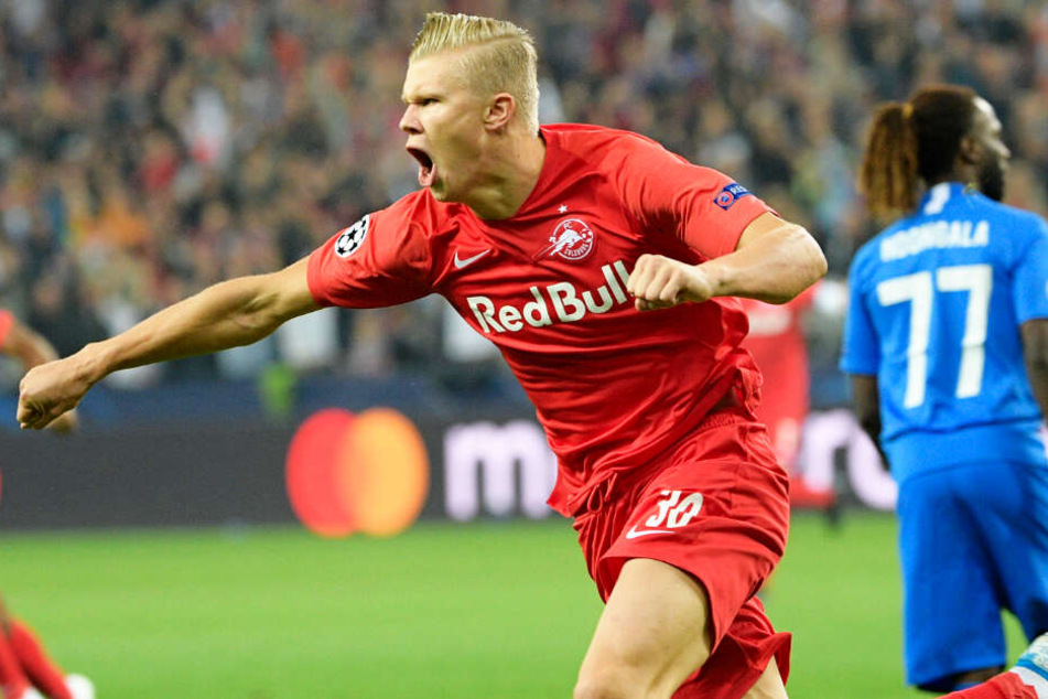 Kam aus dem Jubeln gar nicht mehr heraus: Erling Braut Haaland erzielte in dieser Saison 28 Tore in 22 Spielen für RB Salzburg.
