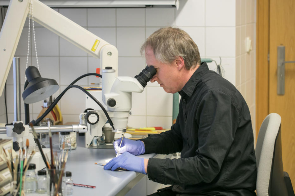 Jens Dornheim (59) ist Diplom-Restaurator. Er untersucht die "vergammelten" Münzen.