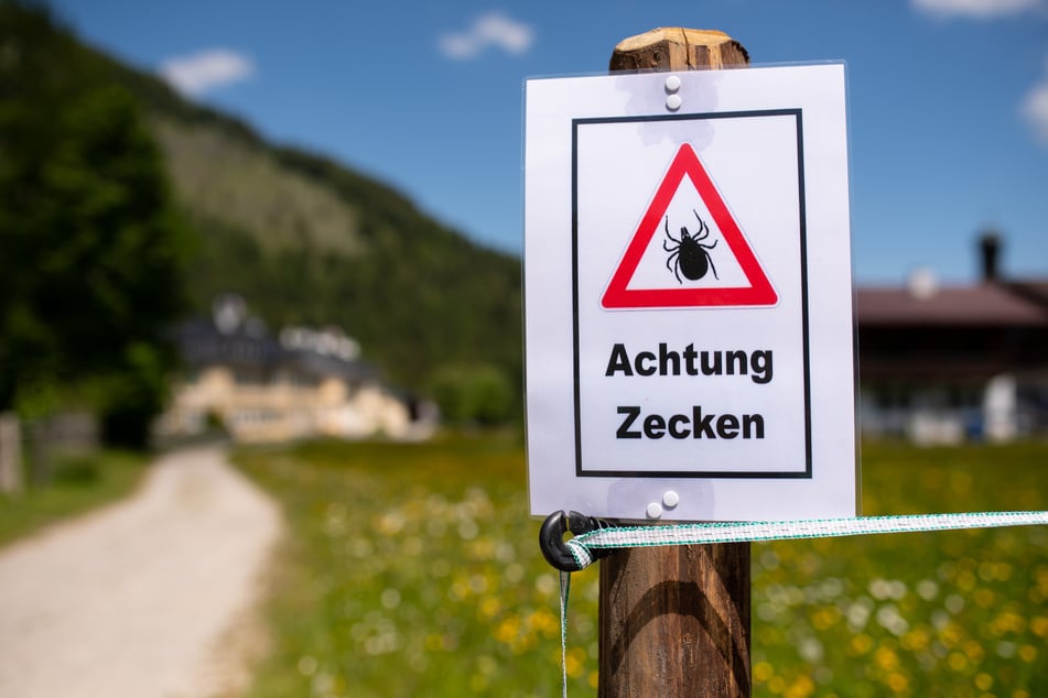 Schilder wie diese sollten Menschen in Wäldern und auf Wiesen zur Vorsicht mahnen. (Archivbild)