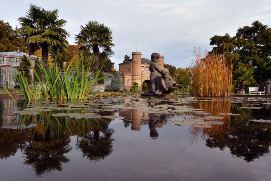 Ein botanischer Garten kann ein wahres Entdeckerparadies sein.