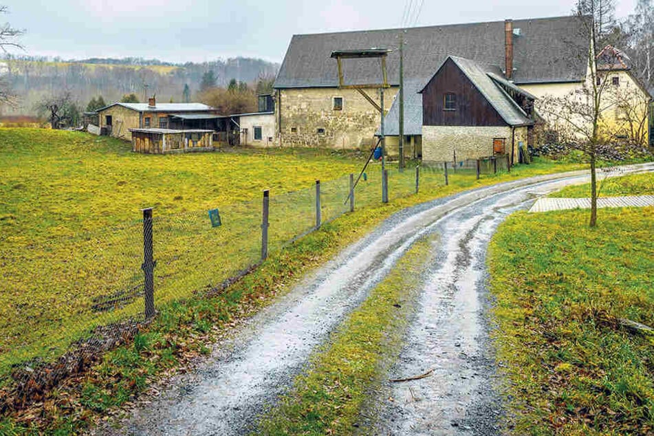 Der alte Bau­ern­hof ist idyl­lisch am Ran­de der Säch­si­schen Schweiz ge­le­gen, dien­te jah­re­lang als Al­ters­heim für Pfer­de.