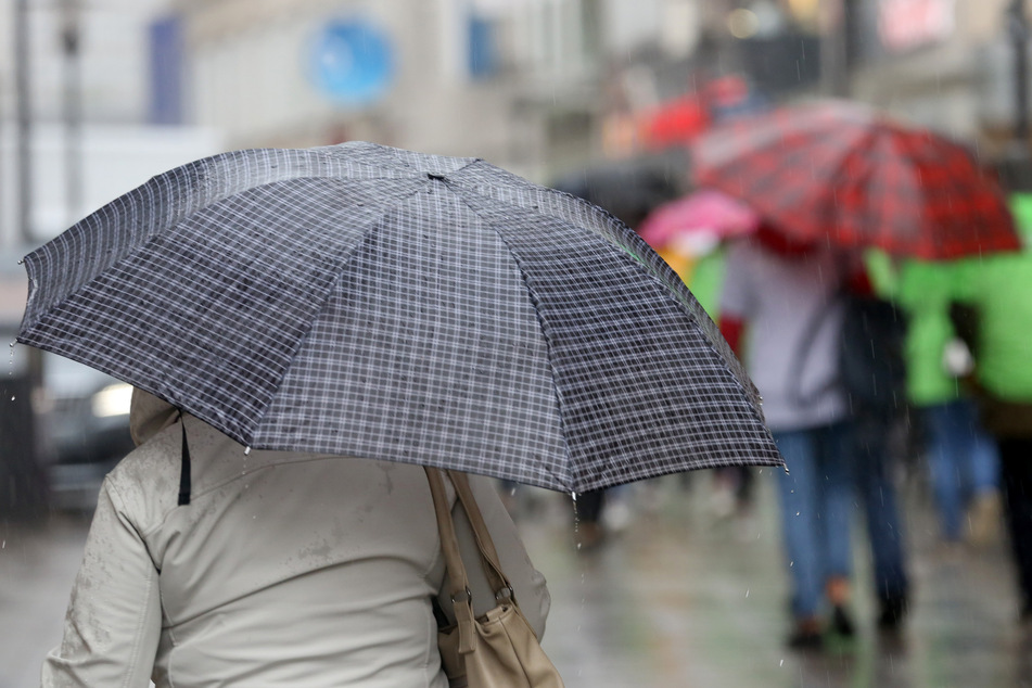 Der viele Regen im Oktober ist nicht in tiefere Bodenschichten durchgesickert.