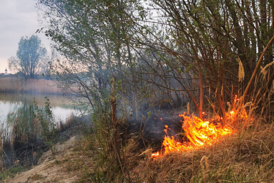 Durch eine mutmaßlich missglückte Grillparty entwickelte sich ein Flächenbrand.