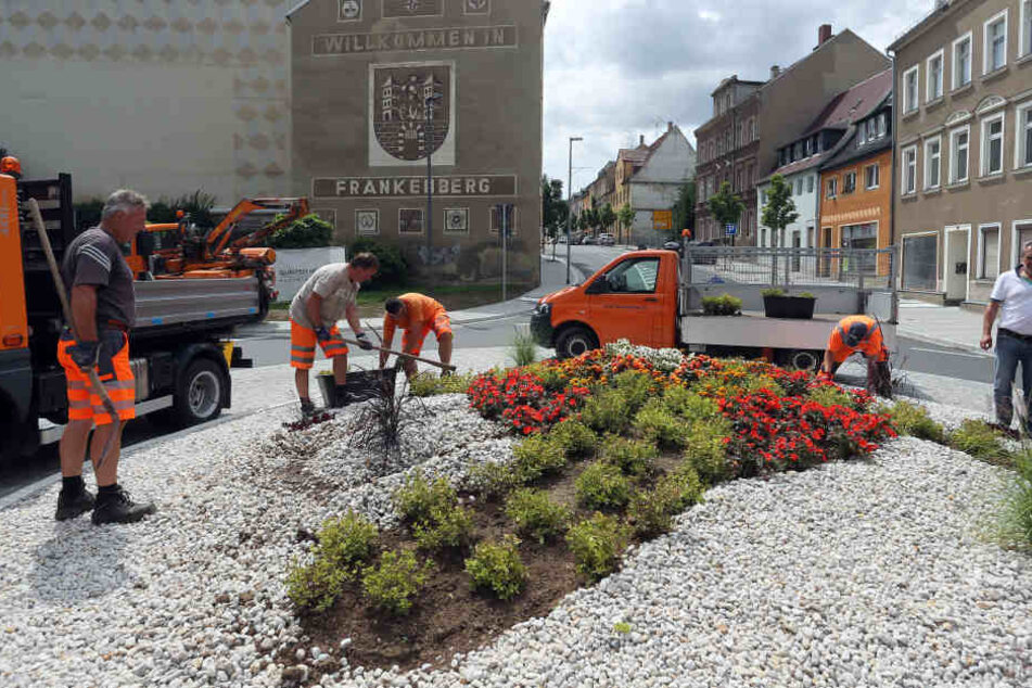 Die Bepflanzung am neuen Kreisverkehr in der Schloßstraße Frankenberg erinnert manche an ein Hakenkreuz, manche an einen Propeller und wiederum andere an ein Dickichtmesser einer Motorsense. Egal, die Stadt hat reagiert und der Bauhhof setzt die Pflanzen.