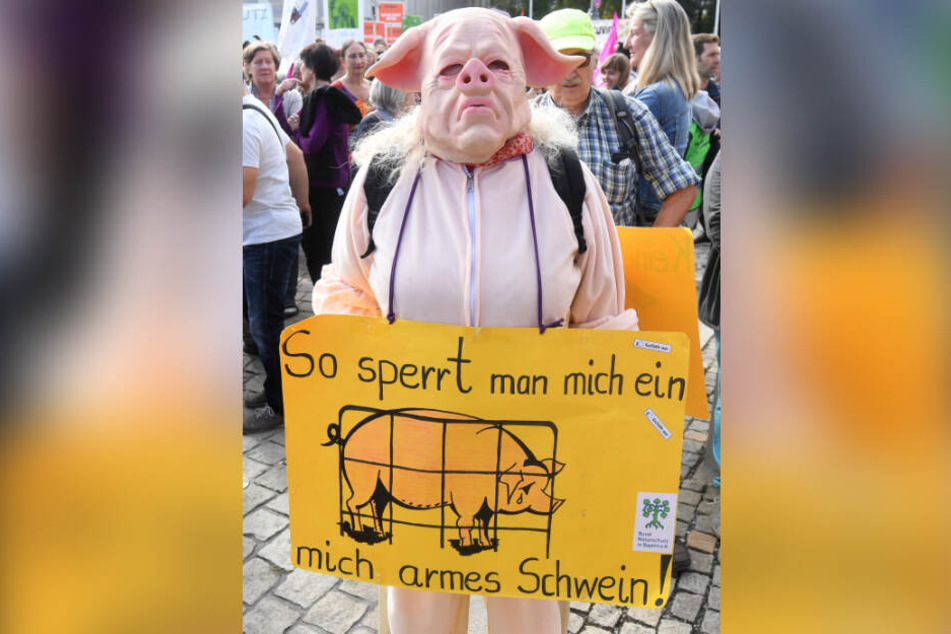 Ein Demonstrant im Schweinekostüm trägt bei einer Demonstration für Umwelt- und Tierschutz.