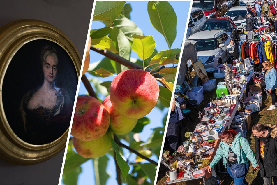 Dresden: Vier Tipps für Euren Sonntag: Hier könnt Ihr dem mauen Sommerwetter trotzen