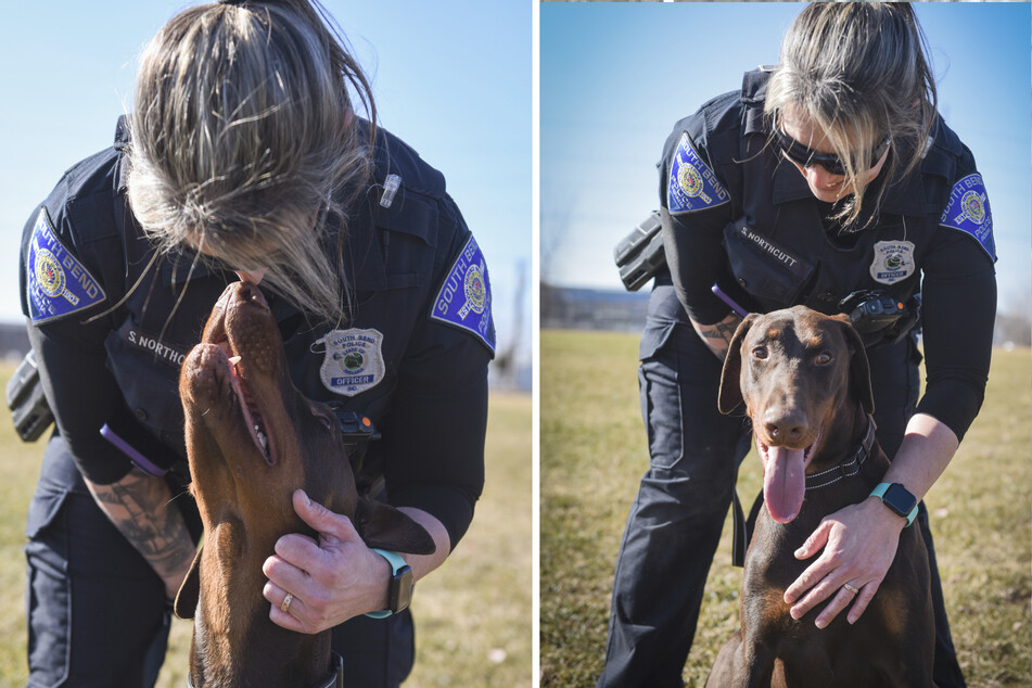 His rescuer, a policewoman from South Bend, decided to adopt the Doberman.