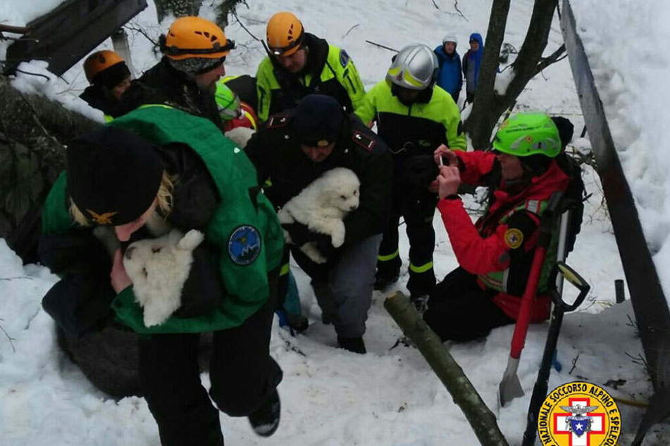 Die Bergung der kleinen Hunde gibt den Rettern wieder Hoffnung