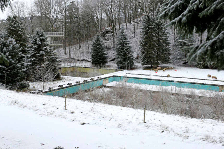 Das 1966 erbaute Freibad Zschopau, mit 50-Meter-Becken und Sprungturm, wird seit sieben Jahren nicht mehr genutzt. Es soll zu einem Naturbad umgewandelt werden.