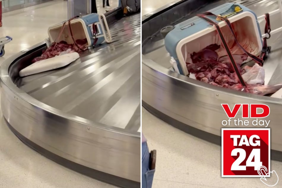 Passengers got more than luggage when a cooler full of raw meat tipped over on the carousel!