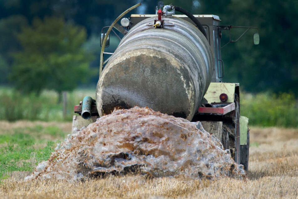 Gülle soll in einem Fall auf Schwaben zum Mordwerkzeug geworden sein. (Symbolbild)