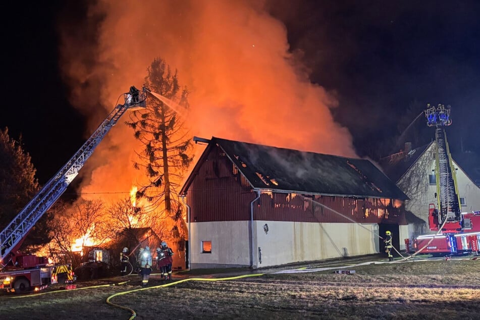 Vor Ort kämpften zahlreiche Rettungskräfte gegen die Flammen.