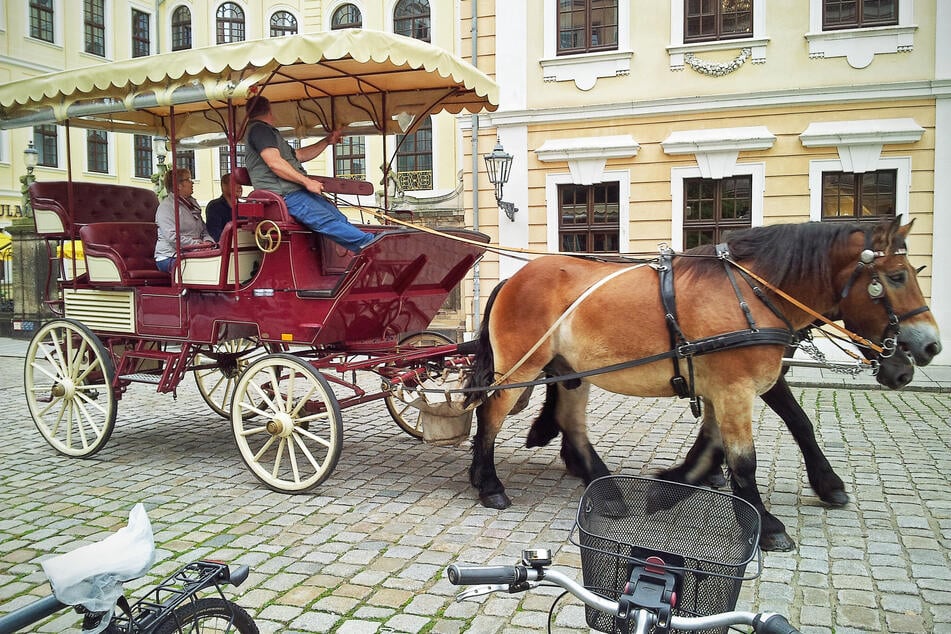 Besonders romantisch ist es, wenn man die Rundfahrt durch Dresden in einer Kutsche macht.