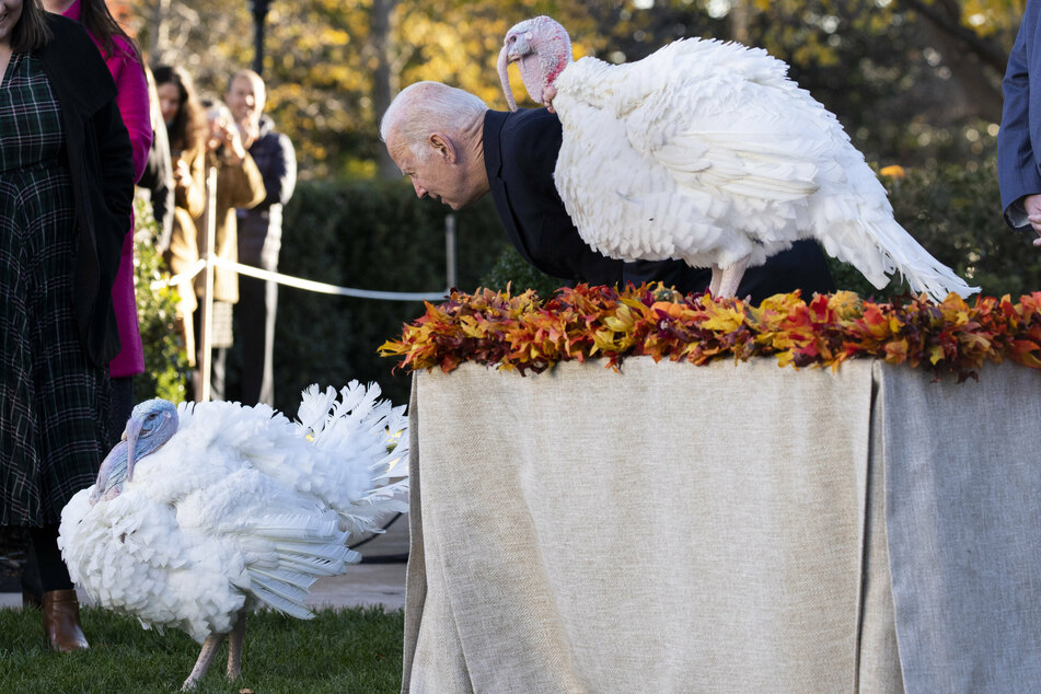 Peanut Butter and Jelly were the stars of the 74th National Thanksgiving Turkey presentation.