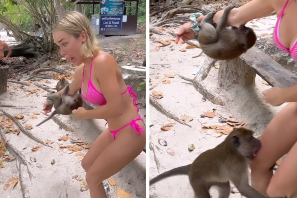 Zwei Affen vergehen sich an Emmy Russ (24).