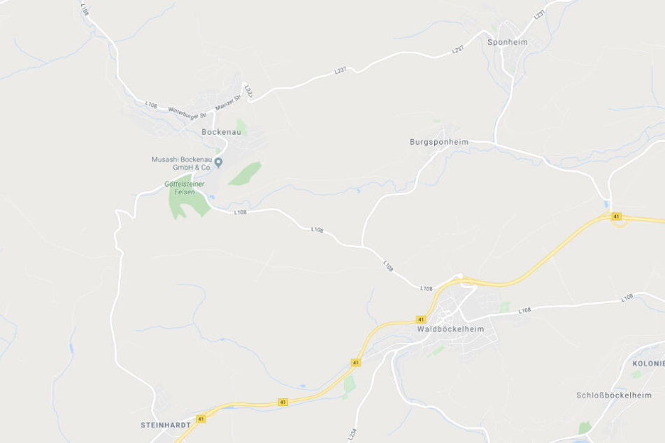 Der Bus kam in einer Rechtskurve von der Straße ab.
