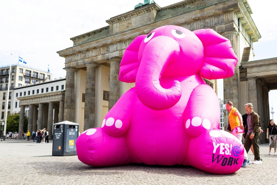 Berlin: Nanu, was macht denn dieser rosa Elefant vor dem Brandenburger Tor?