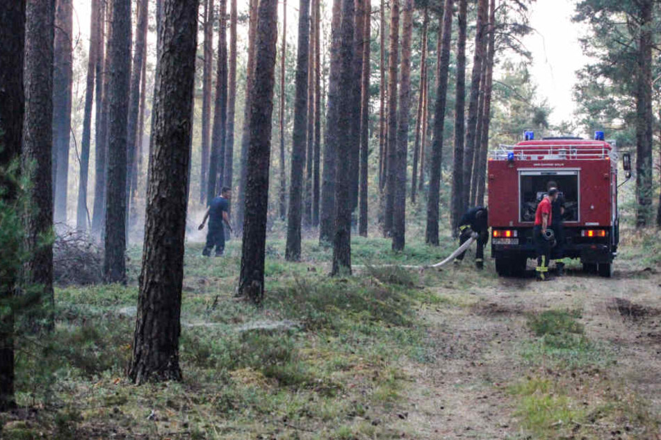 Feuerwehrleute löschen Glutnester beim Waldbrand auf dem ehemaligen Truppenübungsplatz in Südbrandenburg.