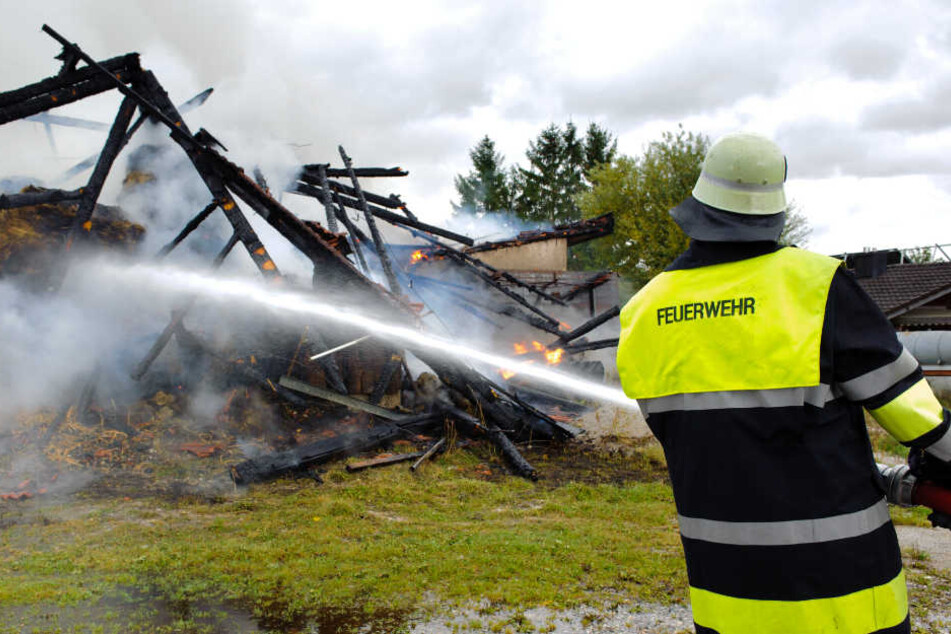 Der Carport wurde bei dem Brand komplett zerstört. (Symbolbild)