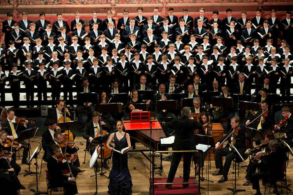 Seit 800 Jahren gibt es den Dresdner Kreuzchor. Deshalb zählt er zum immateriellen Kulturerbe.