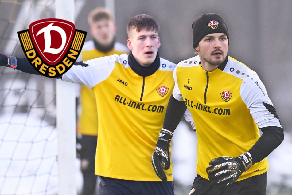 Bethke oder Schreiber: Auf wen setzt Dynamo-Coach Stamm gegen Fürth?