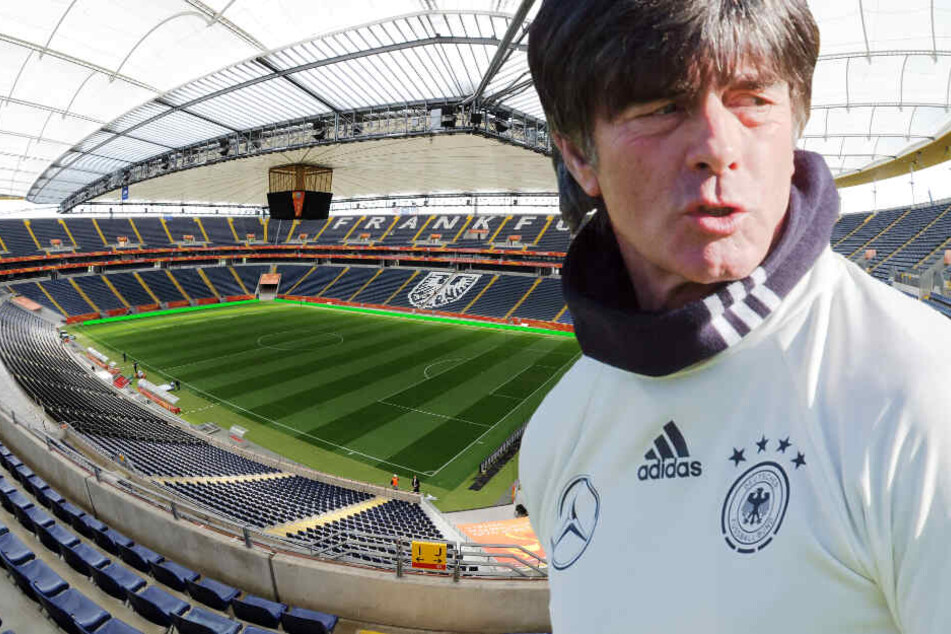 Die Fotomontage zeigt Bundestrainer Jogi Löw vor der Frankfurter Commerzbank-Arena.