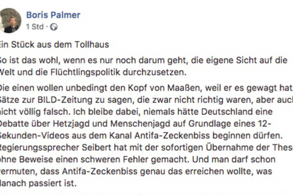 So äußert sich der Grüne Oberbürgermeister Boris Palmer auf Facebook. 