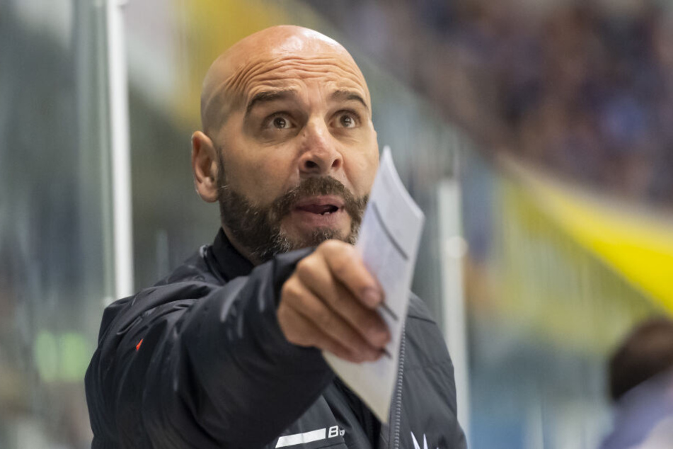 Rico Rossi war beim ersten Spiel gegen Bad Tölz noch nicht der Trainer der Dresdner Eislöwen.