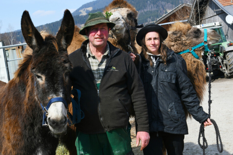Bauer Toni Scholler und Besitzerin Elke Kerler mit dem katalanischen Riesenesel Sancho (l.) und den Kamelen Nalani und Mirell.