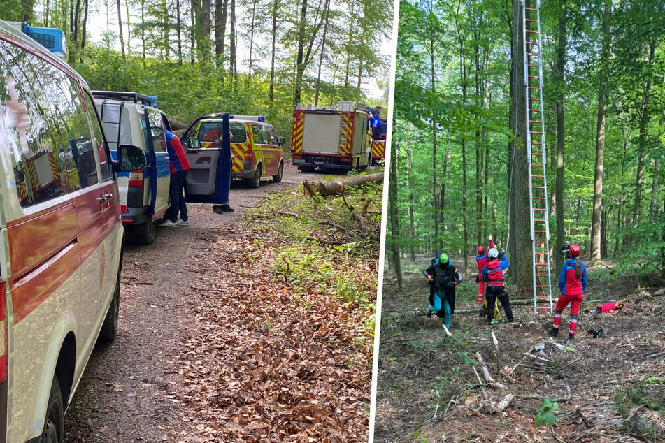 Rettungseinsatz im Wald: Bruchpilot aus Baumkrone befreit