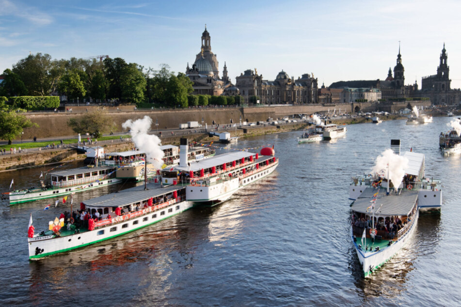 Die Weiße Flotte gehört zu Dresden und soll vor der Zerschlagung gerettet werden.