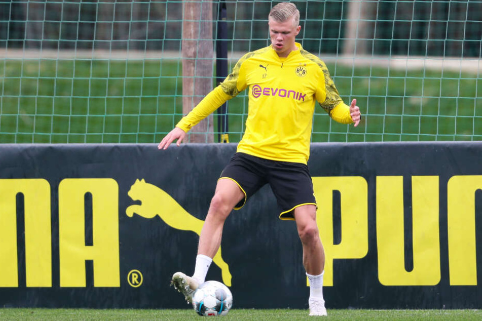 Zeigt sich Erling Haaland auch beim BVB so treffsicher, wie zuletzt in Salzburg?