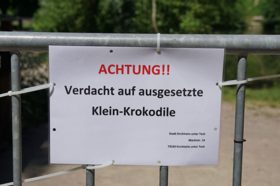 Mitte Juni hatten Spaziergänger wiederholt angegeben, Krokodile im Wasser gesehen zu haben, woraufhin die Bürgerseen in Kirchheim unter Teck gesperrt wurden.